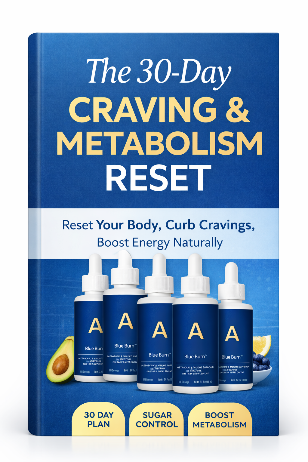 30 Day Reset Ebook