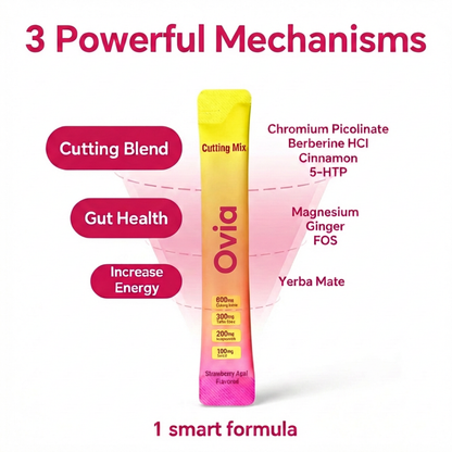 LEEFAR Cutting Drink Mix | Berberine, Yerba Mate, 5-HTP & GLP-1 Support | Strawberry Açaí – 30 Servings